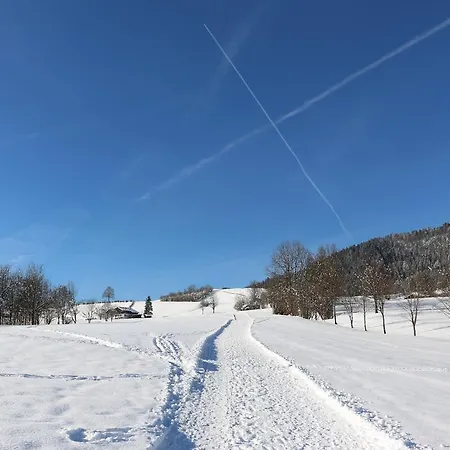 Deva Mittermaier 4*