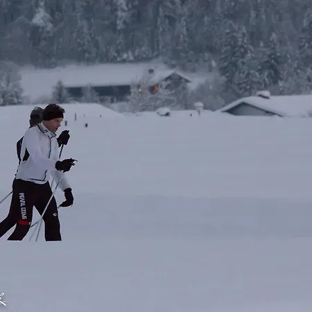 Deva Mittermaier ライト・イム・ヴィンクル