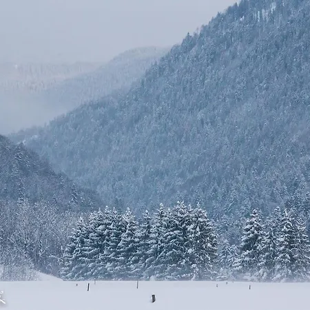 ホテル Deva Mittermaier